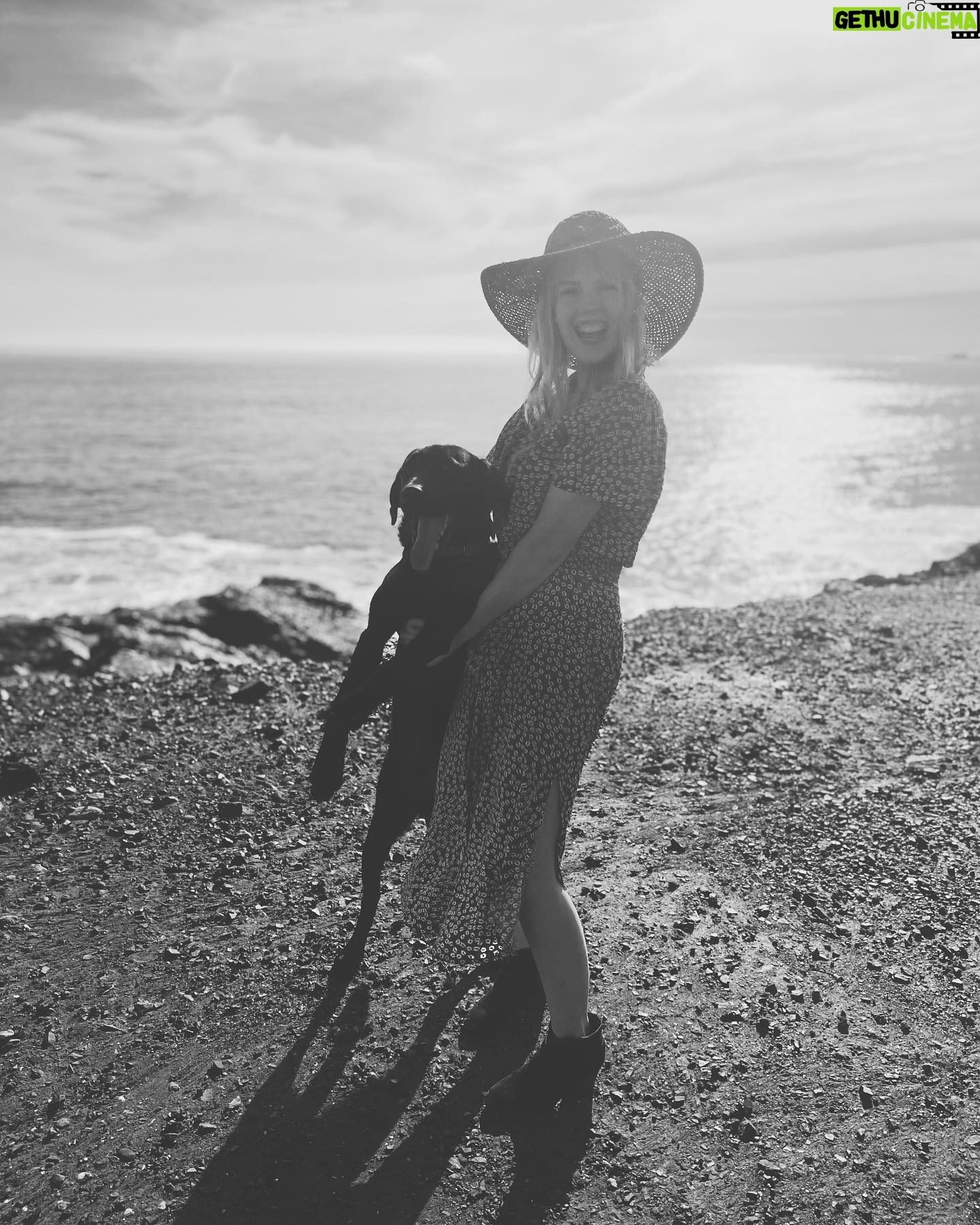 Abbie Cobb - 661 Likes - Beto how I ♥️ you!
1: Beto vs Momhugs
2: Beto vs Modus
3: Beto vs the lake
4: Beto vs the Couch Cushion
5: Beto vs the Dentist
6: Beto vs not leaving til you play with me more
7: 🐶 ♥️
