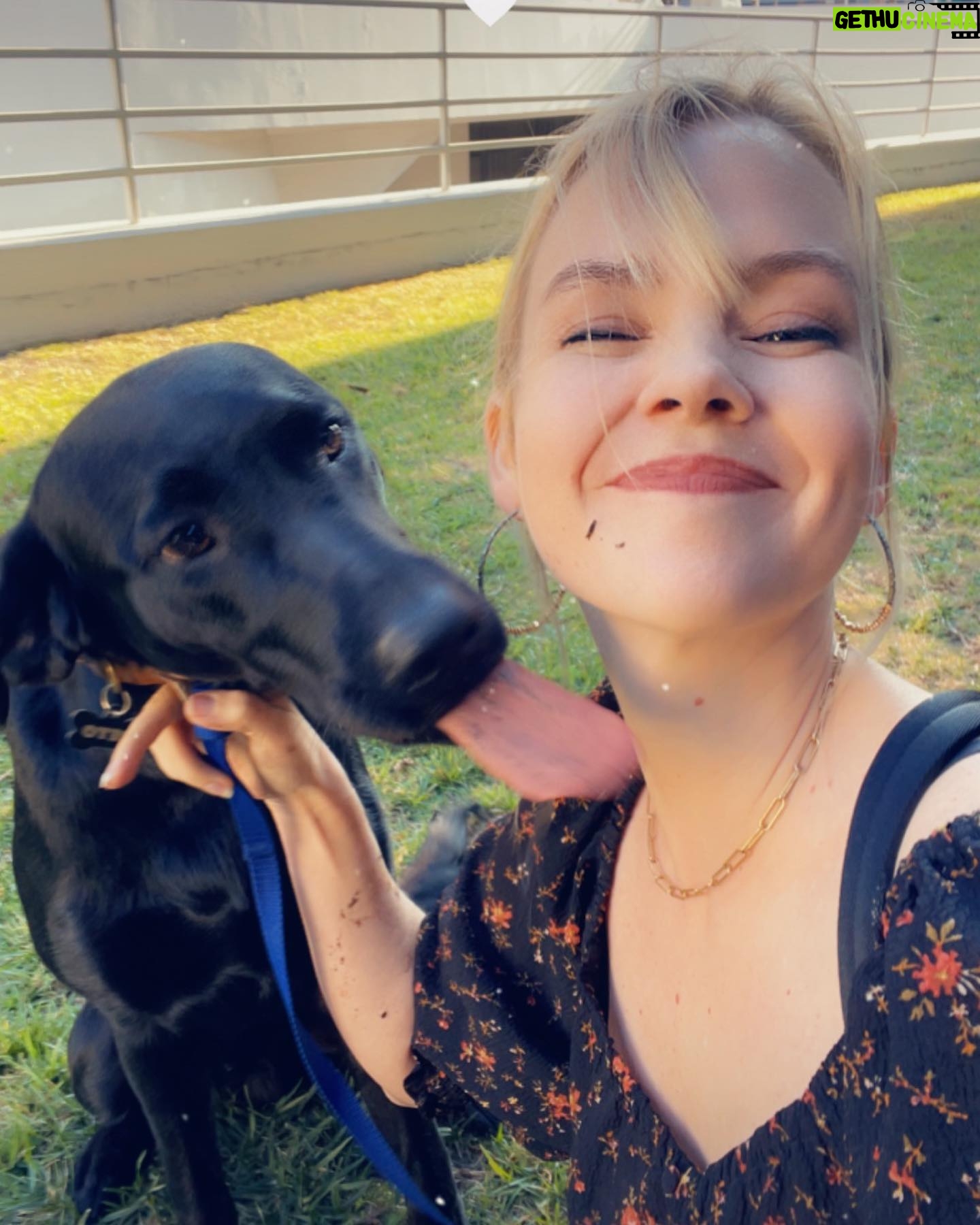 Abbie Cobb - 661 Likes - Beto how I ♥️ you!
1: Beto vs Momhugs
2: Beto vs Modus
3: Beto vs the lake
4: Beto vs the Couch Cushion
5: Beto vs the Dentist
6: Beto vs not leaving til you play with me more
7: 🐶 ♥️