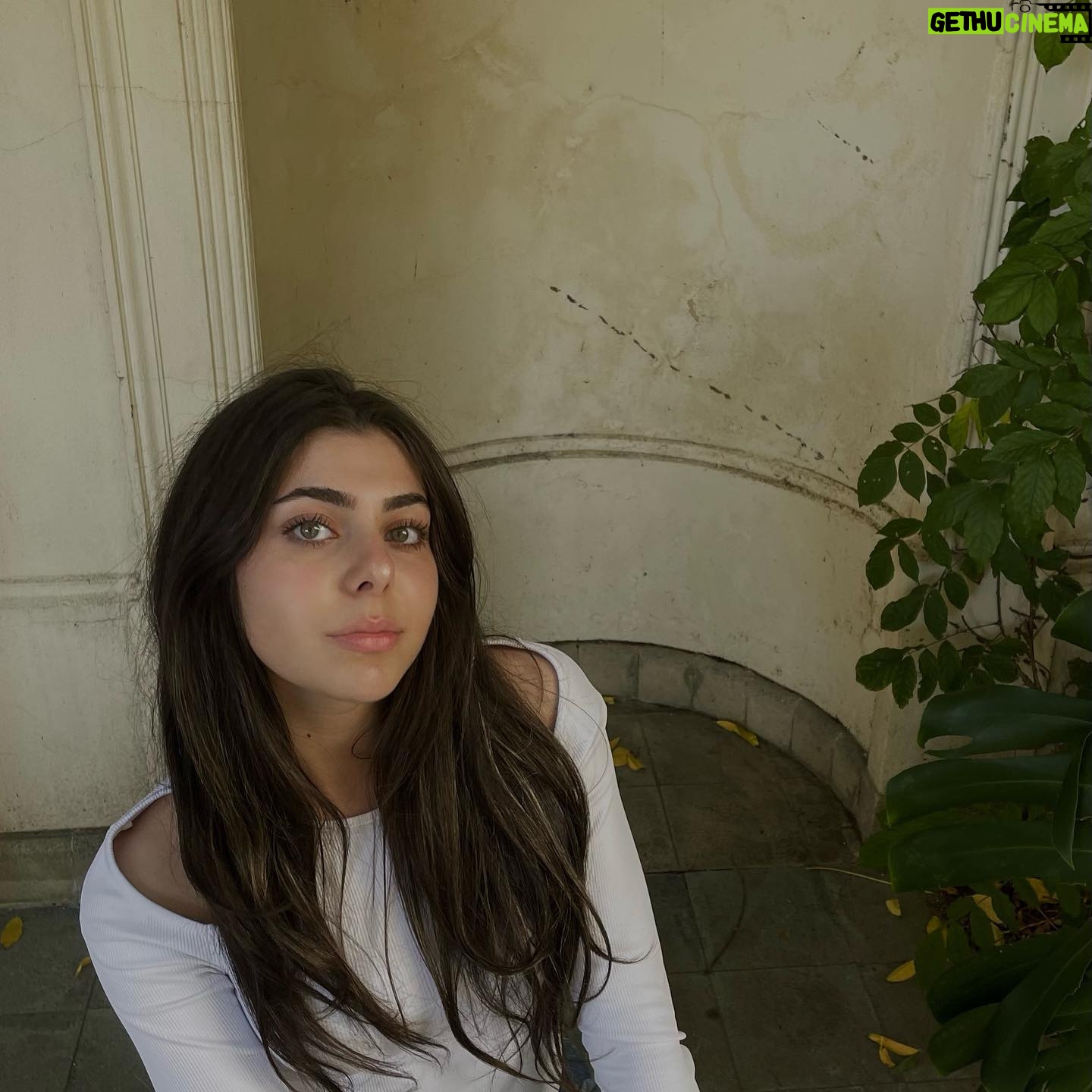 Abby Bergman - 2.1K Likes - me some rippon lea estate aesthetics