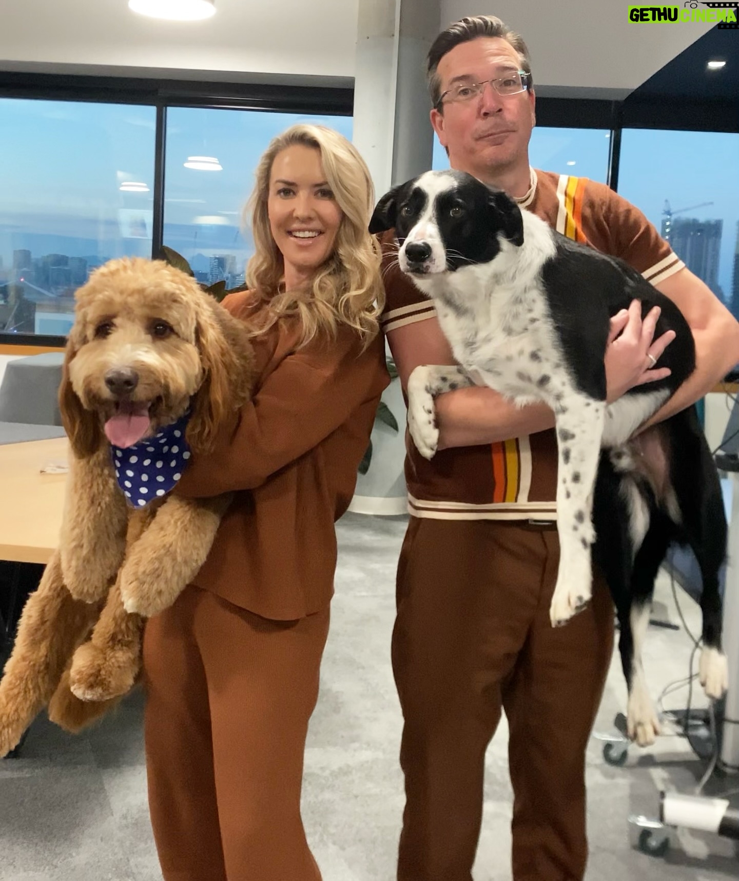 Abby Coleman - 1.5K Likes - Bring your dog day to work 🐶 🐕❤️