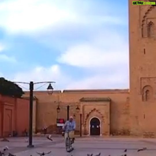 Abdellah Ferkous - 2.4K Likes -