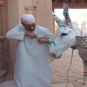 Abdullah Al Sadhan Instagram - 
