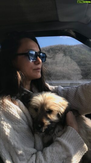 Abdurrahman Tutar Instagram - *10 CANIMIZA YUVA BULDUK *
Sevgili dostlar ; Sabah erken saatlerde çekmiştik bu videoyu . Kedi Eros’un katili serbest kalınca üzülüp paylaşmayı unuttuk ..
Biz 13 Mart sabahına çok güzel uyanmıştık oysa ..
Günlerdir “Herkesler Tok “ videolarında gördüğünüz Anne ve 10 Yavru köpeğimizin biliyorsunuz ki 2 Yavrusunu araba çarptığı İçin Kaybetmiştik .. 
Belediyeden bir türlü sağlanamayan güvenli alan sorunumuzu çözemeyince 8 Yavruyu ve Anneyi evimize almıştık ..Onlara uzanan muhteşem Bir el Bulduk .. Bu sabah hepsini Çanakkale ‘ye aşıları ve bakımları yapılmak üzere gönderdik ..
Geri döndüklerinde süreci Adım adım paylaşıcaz sizlerle …
.
BEBE dediğimiz kucağımızda ki Canıda günler önce beslemede Bağırsakları dışarda bulmuş Biga’ya kliniğe götürmüştük .. Ciddi bir Bağırsak ameliyatı geçiren BEBEde bugün taburcu olup ailesine kavuştu 🫠
Bütün bunların heyecanını tamda o saatlerde böyle kaydetmiştik ..
Kedi Eros davası tüm ülke gibi bizimde beklemediğimiz gibi sonuçlanınca bu saatlere kaldı toparlanıp paylaşmamız ..
Emeği geçen herkeslere sonsuz teşekkürler ederiz ..
Bizler hep birlikte çok güzeliz ..
Bizler hep birlikte çok güçlüyüz ..
İyi ki varız .. 
Ve ne kadar rahatsız olsada bazı kendini bilmezler Ömrümüz yettiğince Var olmaya / Sokak hayvanlarını Korumaya / kollamaya / Sevmeye / Çok sevmeye Devam edeceğiz ..
Erosun davasında adliye koridorlarını inleten o kalabalığın Vicdanını kimseler yenemeyecek ..
Ve İnanın Bizler hep bir arada savunduğumuzda Sokak Canlarını Herşey çok daha güzel olucak ..
Merhametle, vicdanla Kalınız 🥹🤍
#sokakhayvanlarısahipsizdeğil