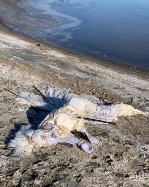 Abhora Instagram - Ghost Shark, or Caught and Forgotten

Corset by @houseofcanney 
Hair by @fenabarbitall 
Photo by @vampirechinese 
Accessories by @shrinkle 
Special assisstance by @hailsatanna 

My Sea Monster challenge is dedicated to the mysterious beauty if the Salton Sea. Its such an enchanting place with a rich and tragic history of once being a unique body of water completely landlocked in the desert. Once a highly saught after resort town now lies in ruin due to rising salt levels due to a myriad of factors. Most of which being agricultural runoff, but the blame lies in a lack of congressional interest. A distinct feature to this place is the indescribable smell of exposed sea bed and the massive graveyard of fish corpses. Its a beautiful community worth saving! Save Our Seas!