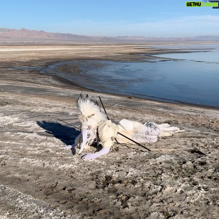 Abhora - 32.6K Likes - Ghost Shark, or Caught and Forgotten
Corset by @houseofcanney
Hair by @fenabarbitall
Photo by @vampirechinese
Accessories by @shrinkle
Special assisstance by @hailsatanna
My Sea Monster challenge is dedicated to the mysterious beauty if the Salton Sea. Its such an enchanting place with a rich and tragic history of once being a unique body of water completely landlocked in the desert. Once a highly saught after resort town now lies in ruin due to rising salt levels due to a myriad of factors. Most of which being agricultural runoff, but the blame lies in a lack of congressional interest. A distinct feature to this place is the indescribable smell of exposed sea bed and the massive graveyard of fish corpses. Its a beautiful community worth saving! Save Our Seas!