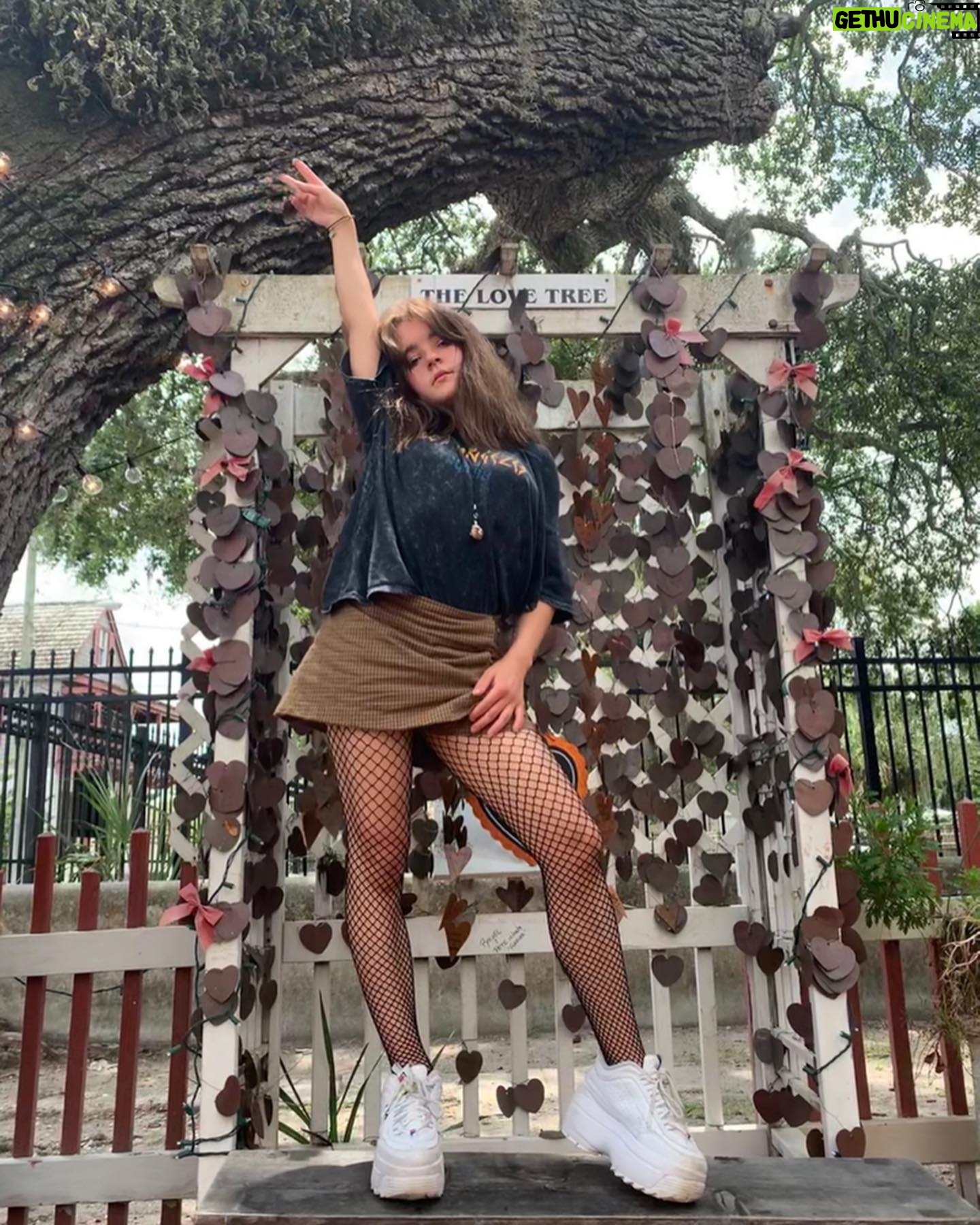 Abi Monterey - 1.9K Likes - Spread the love ❤️