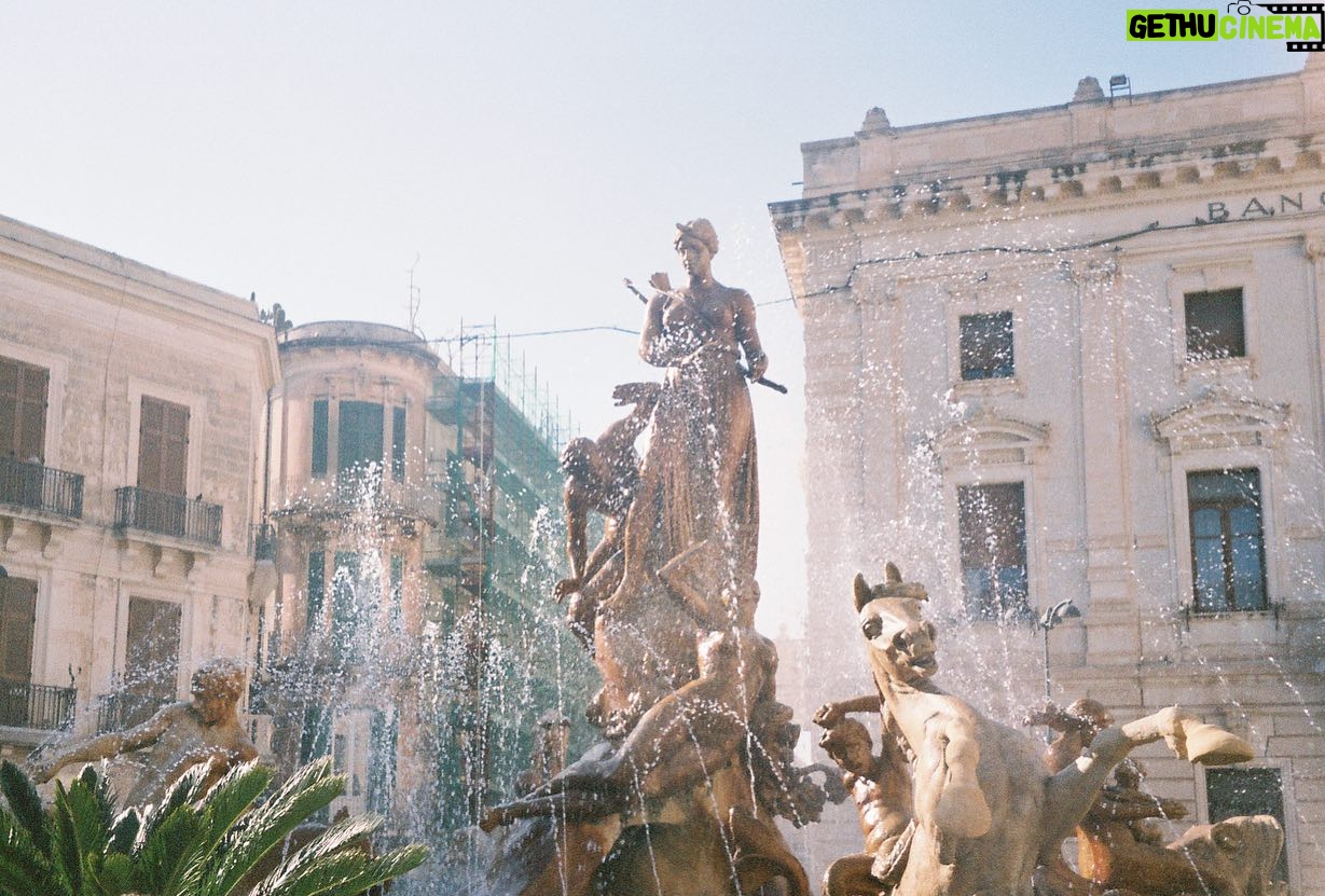 Adam DiMarco - 3 Likes - sicily film dump number 1 of ?????