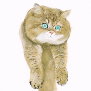 Adam Hagenbuch Instagram - Happy Saturday?
More like happy CATurday, amiright?
.
.
#cats #fatcats #chubbycat #catdrawing #drawing #caturday #saturday #theywontstop