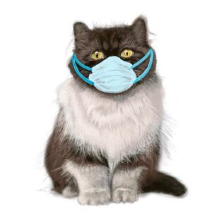Adam Hagenbuch Instagram - I’m drawing cats again. DEAL with it.
Hope you look as cute and as safe as this cat does while you’re wearing your mask.