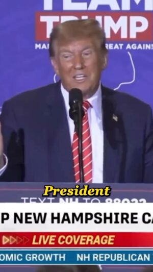 Adam Schiff Instagram - Tonight, Donald Trump called Vladimir Putin and Kim Jong-un “very fine people.”

He’s not hiding who his friends are — and they’re no friends of the United States.