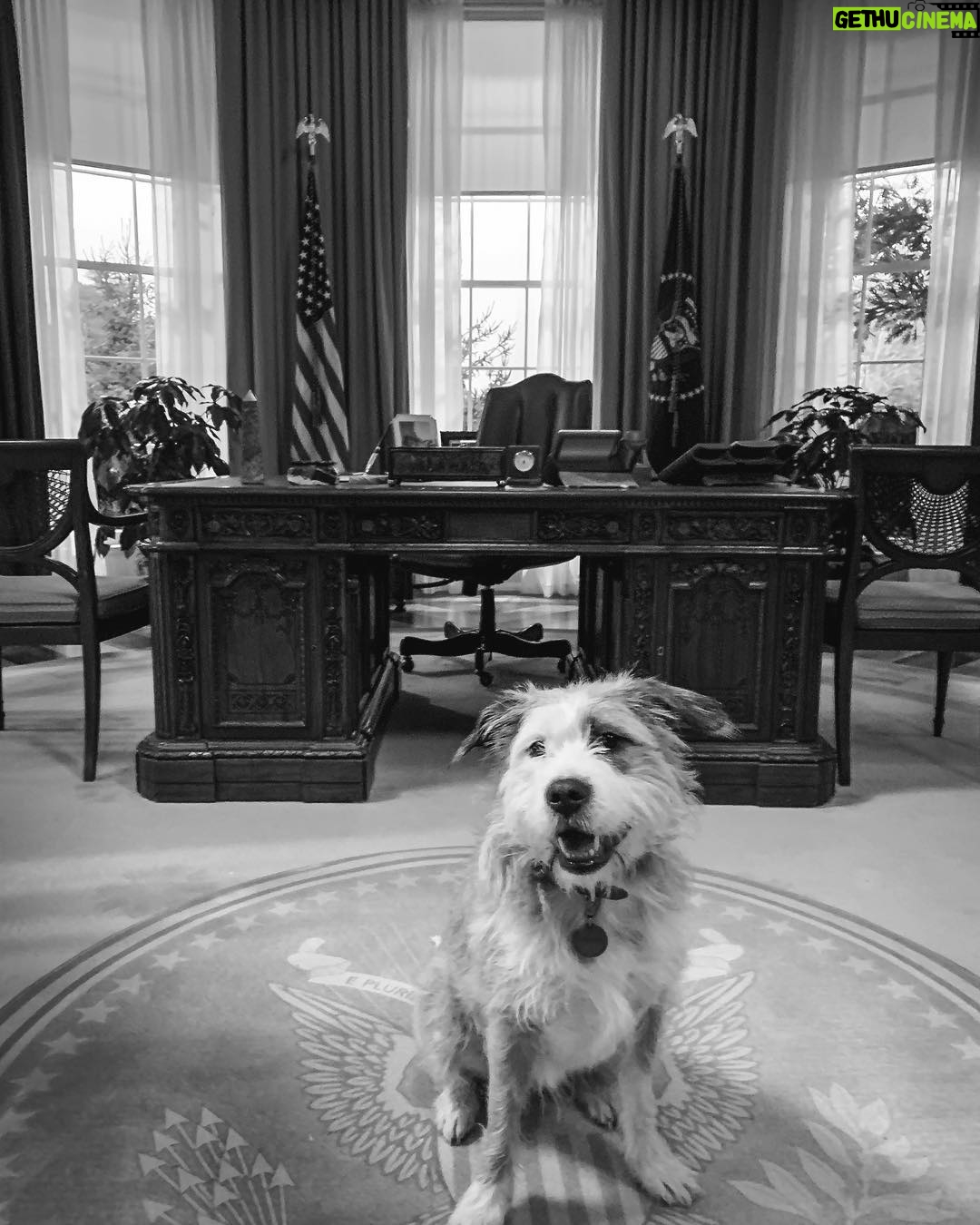Adan Canto - 6.9K Likes - #Presidential pup @ourlittledolly