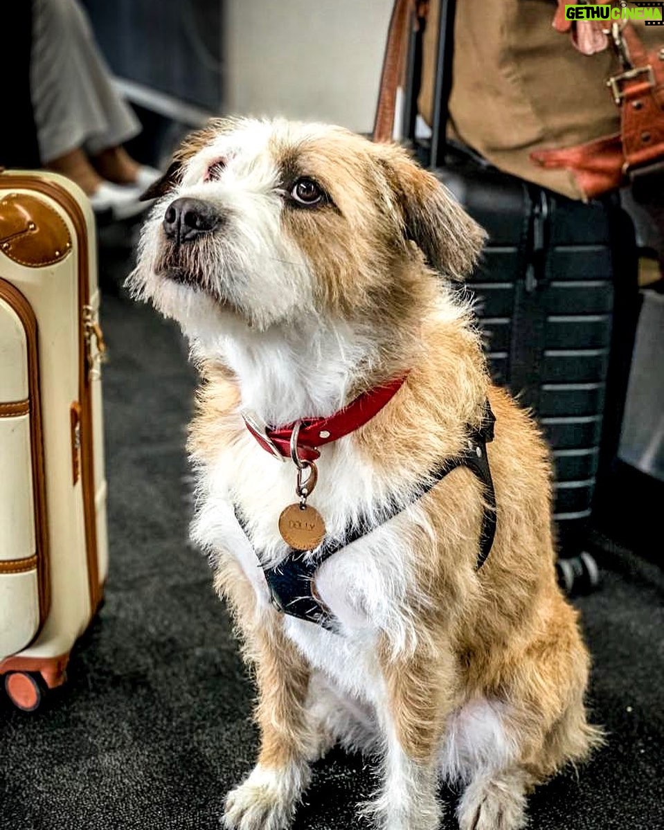 Adan Canto - 4.5K Likes - Dolly the traveler @ourlittledolly