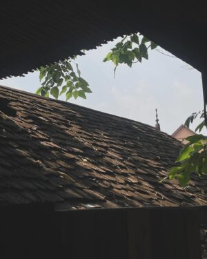 Adarsh Gourav Instagram - Tucked in
