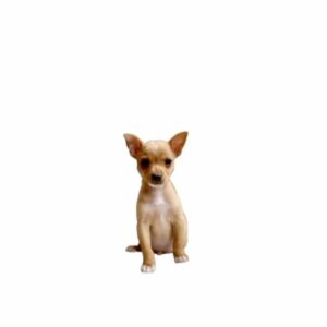 Addie Weyrich Instagram - GERONIMO!