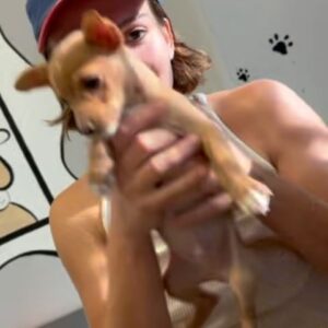Addie Weyrich Instagram - GERONIMO!