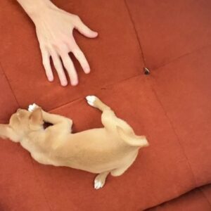 Addie Weyrich Instagram - GERONIMO!