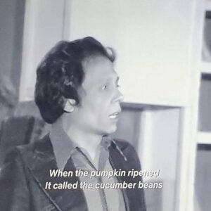 Adel Emam Instagram - ‏القرع لما استوى قال للخيار يا لوبيا 😂