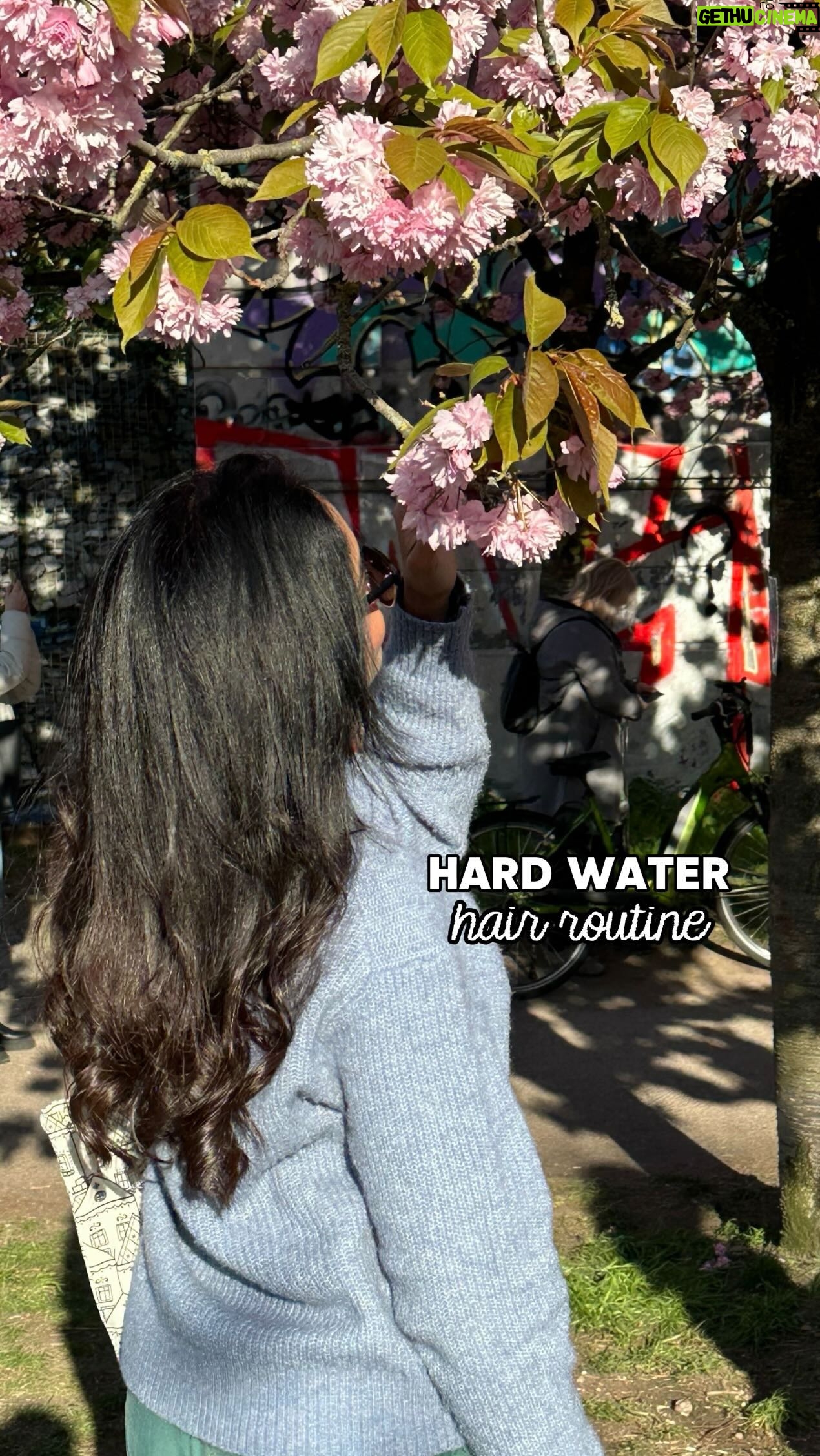 Aditi Chengappa - 368 Likes - All the products are listed here ⬇️
The hard-water in Berlin can really mess up your hair, and if you’ve got coarse, thick hair that leans towards frizziness, then my routine is perfect for you!!
If you found this useful please leave me a comment 🥰🎀
pre-shampoo: @mielleorganics rosemary oil
regular usage shampoo & conditioner:
@redken color extend magnetics Ph balanced - (i have colored hair).
cleansing/ chelating shampoo once in 3 weeks: Kms remedy
holy grail shine: @yvesrocherdeutschland raspberry vinegar
The products mentioned are all in my bio linked as “my favorite hair products” 🩷
I also forgot to mention that I installed a Phillips water filter and i think it has made some difference (maybe 30%?)
with love @aditichengappa
#berlingirl #berlinhair #expatsinberlin