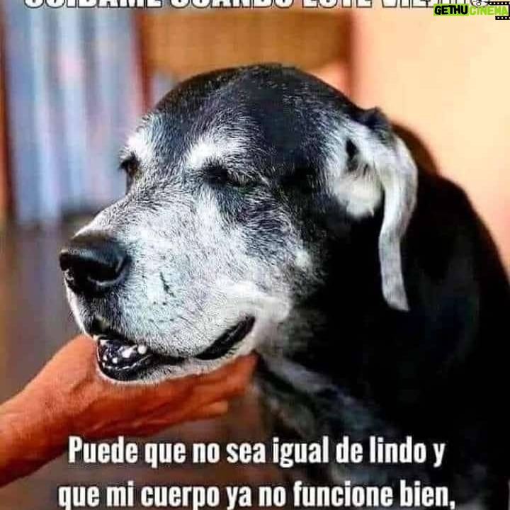 Adolfo Cubas - 110 Likes - Dale