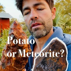 Adrian Grenier Instagram - Listen up! We have a question for you!

#earthspeed🌱 #potato #sweetpotato #questions #helpme #gardening #farmingtips #farminglife #farmlife #gardeningtips #questionoftheday #gardenlife #questionandanswer