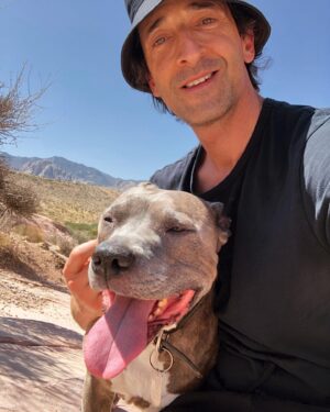 Adrien Brody Instagram - #rocky & #adrien
