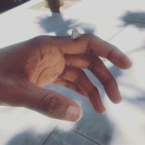 Afton Williamson Instagram - To my Fans, my Friends, my Supporters: I want to Thank EVERY SINGLE ONE OF YOU. I am so beyond overwhelmed by the outpouring of love, kind words, scriptures, strength filled quotes and  devout support that has come my way. One Instagram post is just like those 2 fish and 5 loaves of Bread. The rippling effect it has had in just a few hours shows how much this world is aching with victims of racism, discrimination, sexual harassment, sexual assault, sexual abuse all of it. I am no stranger to all of the above even before this experience. But it is through this experience and my platform that God pushed me to use the power within me. It just takes a VOICE. I never imagined so many of us have experienced these horrible circumstances and that can NO LONGER GO UNHEARD. We have a voice. ALL OF US. It is our DUTY to use it. I used to fear the word Victim. I scoffed at it because all I was told when these injustices happened to me, was to Survive. Survivor I am. Victim I am also. A victim of injustice. A victim of assault. A victim of abuse and harassment. If you have experienced any of the above, you are too and I for one stand with you and I’m no longer afraid to be vocal about it. We Can Stand Together. Let’s Change This Sickness. That Change starts with US. This season on The Rookie, I was sexually harassed by fellow actor Demetrius Grosse. I was Racially Bullied and Discriminated against and Sexually Assaulted by Hair Department Head Sally Nicole  Ciganovich.  Let’s BE the CHANGE we WANT to SEE❤️👊🏾🙏🏾