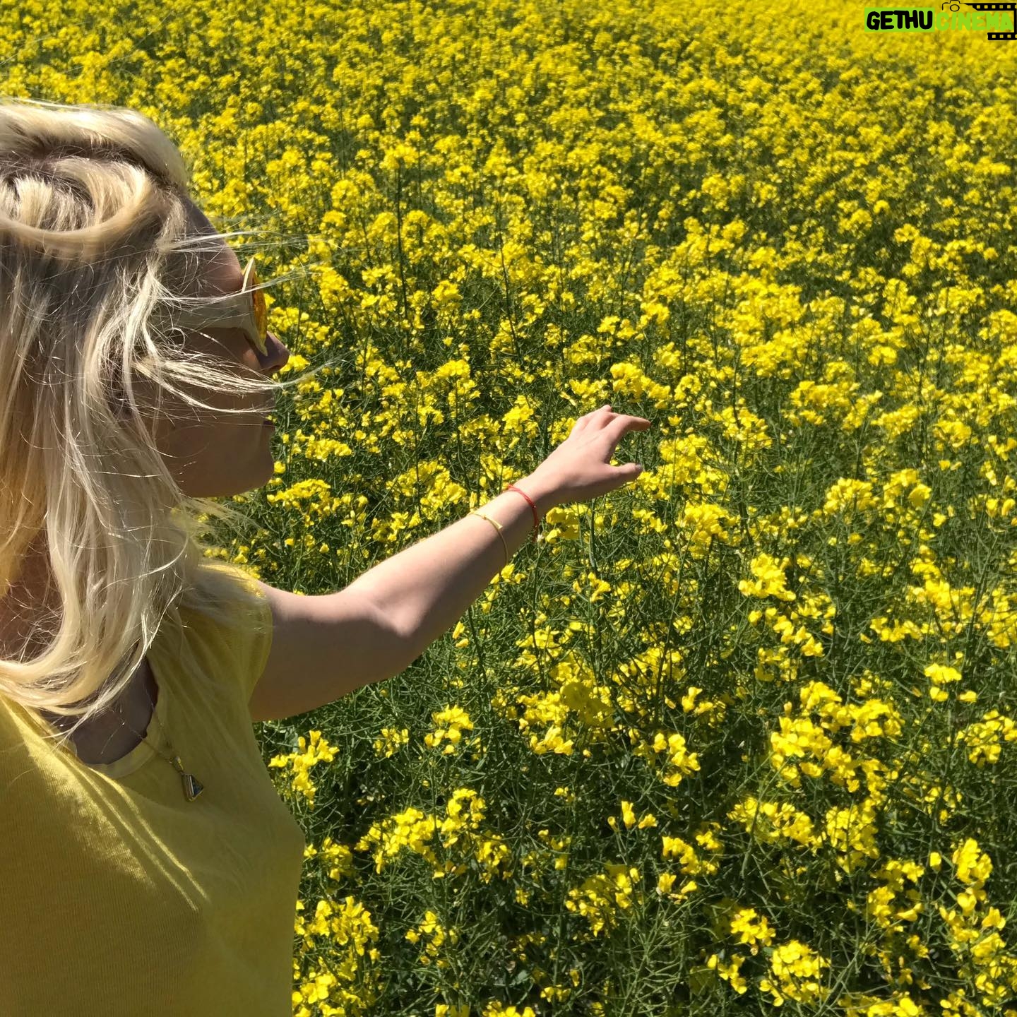 Agata Buzek - 1.3K Likes - Cały Dolny Śląsk kwitnie na żółto dla mnie! 🌼Oszałamiające! ☀️Piękny region, jak wiele innych w Polsce. Cieszę się z moich podróży do pracy!☀️🌼☀️ #ilovemycountry #poland #greatcountry #dolnyśląsk #rzepakowepole #rzepak #rzepakowelove #yellow #yellowmylove #żółty #podróżedopracy