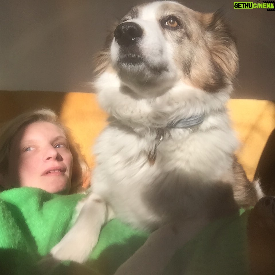 Agata Buzek - 1.8K Likes - Kochani! Dziś prośba. 💛Każdy z Was ma 5,10 złotych. Są BARDZO POTRZEBNE! Nie tylko my musimy przetrwać ten dziwny czas! Prośba w imieniu tych, którzy sami poprosić nie mogą!🐶🐱🐷🦊🦆🐴🐔🐵. Link do opisu, zbiórek, smsów w BIO‼️‼️ „Bez Was nie ma Przystani Ocalenie. Tylko dzięki pomocy dobrych ludzi, nasze przytulisko funkcjonuje i możemy zapewnić 500 zwierzętom spokojne i godne życie.
Zwracamy się do Was z kolejną, ale bardzo naglącą potrzebą. Musimy kupić zapas słomy i siana. Sytuacja, w jakiej znalazł się świat, powoduje, że nikt nie chce czekać na zapłatę. Nasza sytuacja była dramatyczna już przed ogłoszeniem stanu wyjątkowego. Wciąż borykamy się z problemami finansowymi… Nie możemy powiedzieć zwierzętom - poczekajcie, dostaniecie jeść za dwa miesiące. Może uda Wam się wygospodarować kilka złotych na siano dla ocalonych od śmierci zwierząt.” #prośba #pomoc #zwierzęta #przystańocalenie #sianoisłoma #ratujemyzwierzaki #bardzoprosimy #razemdamyradę #dlainnych #kwarantanna #staytogether #badzmyrazem #loveforanimals #rescue