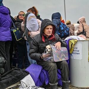 Agata Buzek Instagram - Najbliżsi. Członkowie rodziny. Też są ofiarami wojny. Też muszą uciekać. Albo zostali sami, opuszczeni, przerażeni.
Albo cierpią głód w zbombardowanym schronisku. Potrzebują pomocy. Twojej pomocy. Wesprzyj @przystanocalenie @fundacjaviva @fundacjaostatniaszansa @fundacja_judyta @eko_straz 
The loved ones. Best friends. They suffer as well in this war. They have to escape or survive- abanoned, terrified or starving in a bombed shelter. They need your help! Support: @przystanocalenie @fundacjaviva @fundacjaostatniaszansa @eko_straz @fundacja_judyta #pomocdlaukrainy #pomagajmy #najlepszyprzyjaciel #wojnanaukrainie #ratunku #dogs #slawaukraini