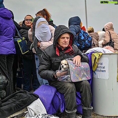 Agata Buzek - 1.9K Likes - Najbliżsi. Członkowie rodziny. Też są ofiarami wojny. Też muszą uciekać. Albo zostali sami, opuszczeni, przerażeni.
Albo cierpią głód w zbombardowanym schronisku. Potrzebują pomocy. Twojej pomocy. Wesprzyj @przystanocalenie @fundacjaviva @fundacjaostatniaszansa @fundacja_judyta @eko_straz
The loved ones. Best friends. They suffer as well in this war. They have to escape or survive- abanoned, terrified or starving in a bombed shelter. They need your help! Support: @przystanocalenie @fundacjaviva @fundacjaostatniaszansa @eko_straz @fundacja_judyta #pomocdlaukrainy #pomagajmy #najlepszyprzyjaciel #wojnanaukrainie #ratunku #dogs #slawaukraini