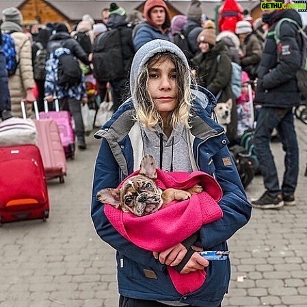 Agata Buzek - 1.9K Likes - Najbliżsi. Członkowie rodziny. Też są ofiarami wojny. Też muszą uciekać. Albo zostali sami, opuszczeni, przerażeni.
Albo cierpią głód w zbombardowanym schronisku. Potrzebują pomocy. Twojej pomocy. Wesprzyj @przystanocalenie @fundacjaviva @fundacjaostatniaszansa @fundacja_judyta @eko_straz
The loved ones. Best friends. They suffer as well in this war. They have to escape or survive- abanoned, terrified or starving in a bombed shelter. They need your help! Support: @przystanocalenie @fundacjaviva @fundacjaostatniaszansa @eko_straz @fundacja_judyta #pomocdlaukrainy #pomagajmy #najlepszyprzyjaciel #wojnanaukrainie #ratunku #dogs #slawaukraini
