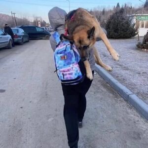 Agata Buzek Instagram - Najbliżsi. Członkowie rodziny. Też są ofiarami wojny. Też muszą uciekać. Albo zostali sami, opuszczeni, przerażeni.
Albo cierpią głód w zbombardowanym schronisku. Potrzebują pomocy. Twojej pomocy. Wesprzyj @przystanocalenie @fundacjaviva @fundacjaostatniaszansa @fundacja_judyta @eko_straz 
The loved ones. Best friends. They suffer as well in this war. They have to escape or survive- abanoned, terrified or starving in a bombed shelter. They need your help! Support: @przystanocalenie @fundacjaviva @fundacjaostatniaszansa @eko_straz @fundacja_judyta #pomocdlaukrainy #pomagajmy #najlepszyprzyjaciel #wojnanaukrainie #ratunku #dogs #slawaukraini