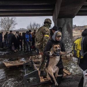 Agata Buzek Instagram - Najbliżsi. Członkowie rodziny. Też są ofiarami wojny. Też muszą uciekać. Albo zostali sami, opuszczeni, przerażeni.
Albo cierpią głód w zbombardowanym schronisku. Potrzebują pomocy. Twojej pomocy. Wesprzyj @przystanocalenie @fundacjaviva @fundacjaostatniaszansa @fundacja_judyta @eko_straz 
The loved ones. Best friends. They suffer as well in this war. They have to escape or survive- abanoned, terrified or starving in a bombed shelter. They need your help! Support: @przystanocalenie @fundacjaviva @fundacjaostatniaszansa @eko_straz @fundacja_judyta #pomocdlaukrainy #pomagajmy #najlepszyprzyjaciel #wojnanaukrainie #ratunku #dogs #slawaukraini