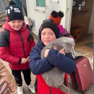 Agata Buzek Instagram - Najbliżsi. Członkowie rodziny. Też są ofiarami wojny. Też muszą uciekać. Albo zostali sami, opuszczeni, przerażeni.
Albo cierpią głód w zbombardowanym schronisku. Potrzebują pomocy. Twojej pomocy. Wesprzyj @przystanocalenie @fundacjaviva @fundacjaostatniaszansa @fundacja_judyta @eko_straz 
The loved ones. Best friends. They suffer as well in this war. They have to escape or survive- abanoned, terrified or starving in a bombed shelter. They need your help! Support: @przystanocalenie @fundacjaviva @fundacjaostatniaszansa @eko_straz @fundacja_judyta #pomocdlaukrainy #pomagajmy #najlepszyprzyjaciel #wojnanaukrainie #ratunku #dogs #slawaukraini