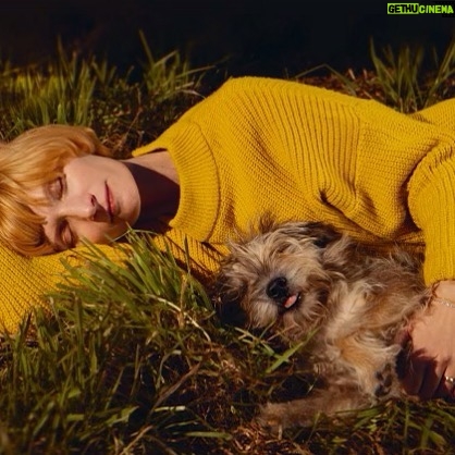 Agata Buzek - 1.4K Likes - Już jest! Kalendarz adopcyjny na 2022 @wielcymalym @wielcy.malym . 🐕🦺💛🐈 Kupujcie! Cały dochód będzie przeznaczony dla najbiedniejszych schronisk w Polsce!🐕🧡🐈⬛ Na zdjęciu Tobi z @fundacjaostatniaszansa w Boguszycach. Cudowny, radosny, otwarty, spragniony czułości. Ma okolo 6 lat i czeka na dobrych ludzi, którzy zabiorą go do domu przed zimą! #adoptujniekupuj #adopcja #najlepszyprzyjaciel #adoptujpsazeschroniska