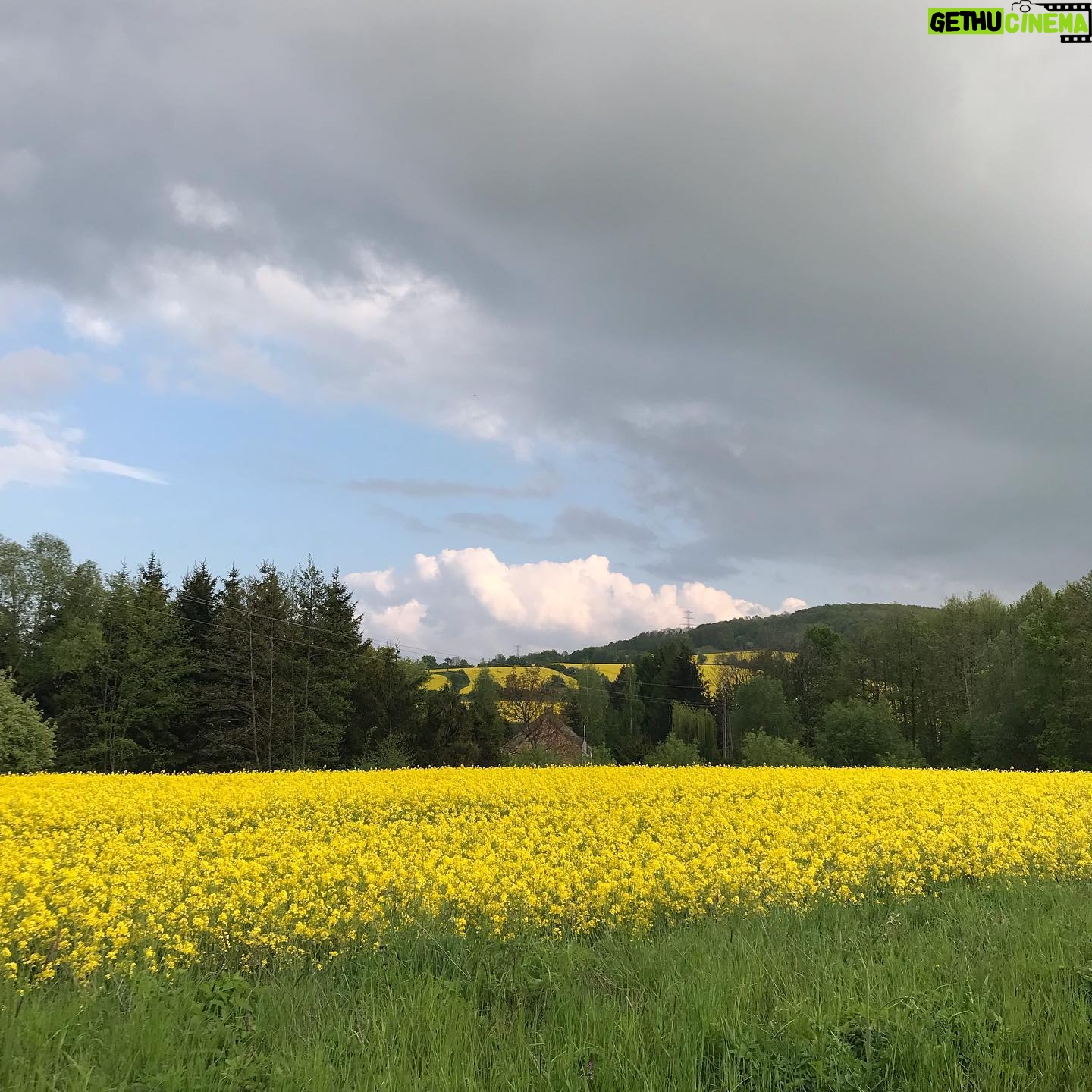 Agata Buzek - 1.3K Likes - Cały Dolny Śląsk kwitnie na żółto dla mnie! 🌼Oszałamiające! ☀️Piękny region, jak wiele innych w Polsce. Cieszę się z moich podróży do pracy!☀️🌼☀️ #ilovemycountry #poland #greatcountry #dolnyśląsk #rzepakowepole #rzepak #rzepakowelove #yellow #yellowmylove #żółty #podróżedopracy