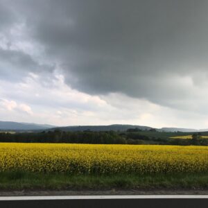Agata Buzek Instagram - Cały Dolny Śląsk kwitnie na żółto dla mnie! 🌼Oszałamiające! ☀️Piękny region, jak wiele innych w Polsce. Cieszę się z moich podróży do pracy!☀️🌼☀️ #ilovemycountry #poland #greatcountry #dolnyśląsk #rzepakowepole #rzepak #rzepakowelove #yellow #yellowmylove #żółty #podróżedopracy