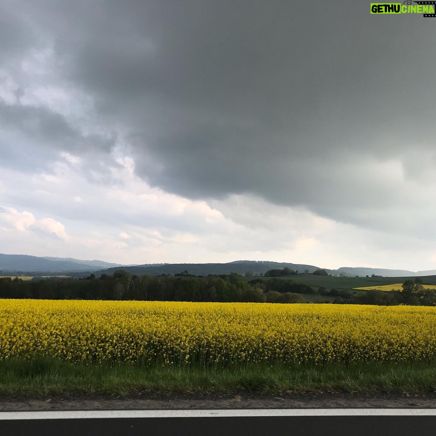 Agata Buzek - 1.3K Likes - Cały Dolny Śląsk kwitnie na żółto dla mnie! 🌼Oszałamiające! ☀️Piękny region, jak wiele innych w Polsce. Cieszę się z moich podróży do pracy!☀️🌼☀️ #ilovemycountry #poland #greatcountry #dolnyśląsk #rzepakowepole #rzepak #rzepakowelove #yellow #yellowmylove #żółty #podróżedopracy