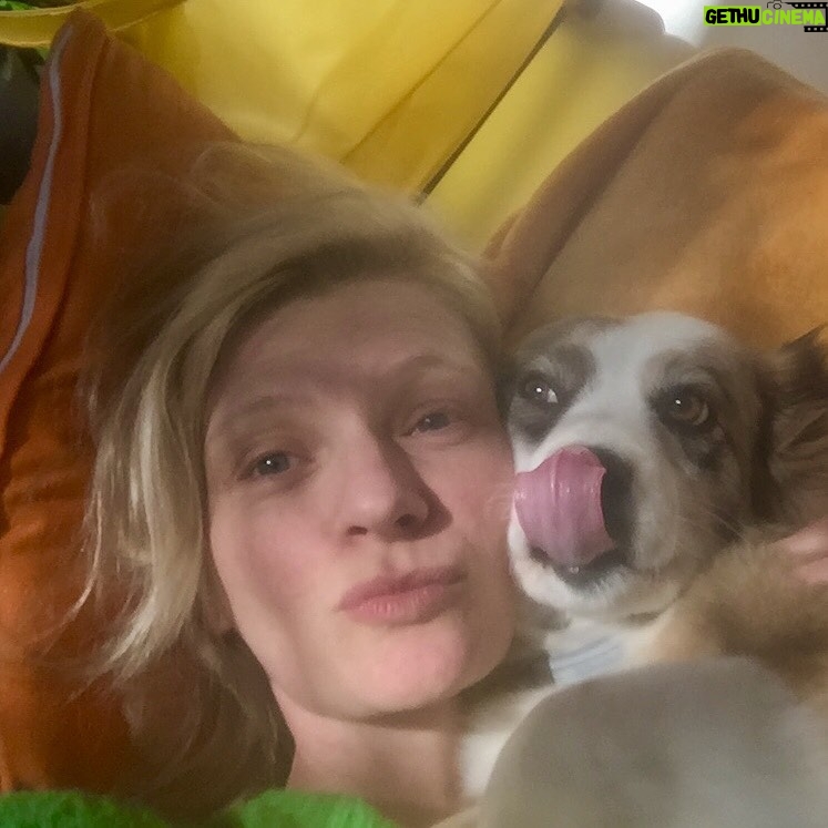 Agata Buzek - 1.8K Likes - Kochani! Dziś prośba. 💛Każdy z Was ma 5,10 złotych. Są BARDZO POTRZEBNE! Nie tylko my musimy przetrwać ten dziwny czas! Prośba w imieniu tych, którzy sami poprosić nie mogą!🐶🐱🐷🦊🦆🐴🐔🐵. Link do opisu, zbiórek, smsów w BIO‼️‼️ „Bez Was nie ma Przystani Ocalenie. Tylko dzięki pomocy dobrych ludzi, nasze przytulisko funkcjonuje i możemy zapewnić 500 zwierzętom spokojne i godne życie.
Zwracamy się do Was z kolejną, ale bardzo naglącą potrzebą. Musimy kupić zapas słomy i siana. Sytuacja, w jakiej znalazł się świat, powoduje, że nikt nie chce czekać na zapłatę. Nasza sytuacja była dramatyczna już przed ogłoszeniem stanu wyjątkowego. Wciąż borykamy się z problemami finansowymi… Nie możemy powiedzieć zwierzętom - poczekajcie, dostaniecie jeść za dwa miesiące. Może uda Wam się wygospodarować kilka złotych na siano dla ocalonych od śmierci zwierząt.” #prośba #pomoc #zwierzęta #przystańocalenie #sianoisłoma #ratujemyzwierzaki #bardzoprosimy #razemdamyradę #dlainnych #kwarantanna #staytogether #badzmyrazem #loveforanimals #rescue