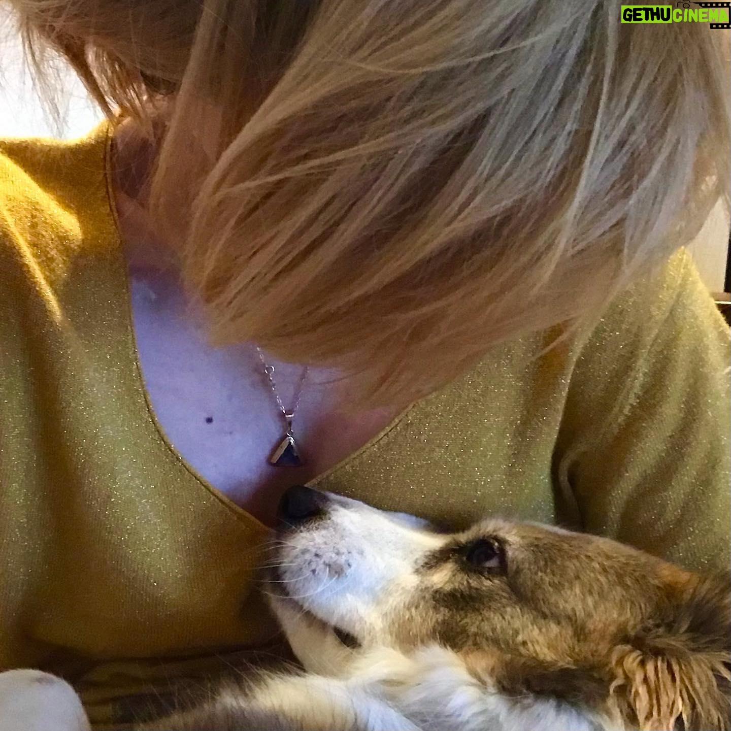 Agata Buzek - 1.9K Likes - Najbliżsi. Członkowie rodziny. Też są ofiarami wojny. Też muszą uciekać. Albo zostali sami, opuszczeni, przerażeni.
Albo cierpią głód w zbombardowanym schronisku. Potrzebują pomocy. Twojej pomocy. Wesprzyj @przystanocalenie @fundacjaviva @fundacjaostatniaszansa @fundacja_judyta @eko_straz
The loved ones. Best friends. They suffer as well in this war. They have to escape or survive- abanoned, terrified or starving in a bombed shelter. They need your help! Support: @przystanocalenie @fundacjaviva @fundacjaostatniaszansa @eko_straz @fundacja_judyta #pomocdlaukrainy #pomagajmy #najlepszyprzyjaciel #wojnanaukrainie #ratunku #dogs #slawaukraini