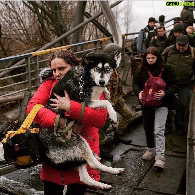 Agata Buzek - 1.9K Likes - Najbliżsi. Członkowie rodziny. Też są ofiarami wojny. Też muszą uciekać. Albo zostali sami, opuszczeni, przerażeni.
Albo cierpią głód w zbombardowanym schronisku. Potrzebują pomocy. Twojej pomocy. Wesprzyj @przystanocalenie @fundacjaviva @fundacjaostatniaszansa @fundacja_judyta @eko_straz
The loved ones. Best friends. They suffer as well in this war. They have to escape or survive- abanoned, terrified or starving in a bombed shelter. They need your help! Support: @przystanocalenie @fundacjaviva @fundacjaostatniaszansa @eko_straz @fundacja_judyta #pomocdlaukrainy #pomagajmy #najlepszyprzyjaciel #wojnanaukrainie #ratunku #dogs #slawaukraini