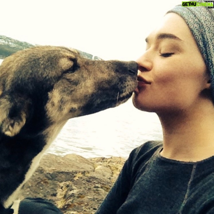 Agnes Born - 759 Likes - Miss you so much, Selma ❤️
#mansbestfriend
#unconditionallove#bestfriends#dog#soulmates#selma#friendship#hikingbuddy#furryfriends#husky#doglover#huskymix#settersofnorway#rip#restinpeace#missyou#friends#norway#nothernnorway#scandinavia#beautiful#paws#petsofinstagram