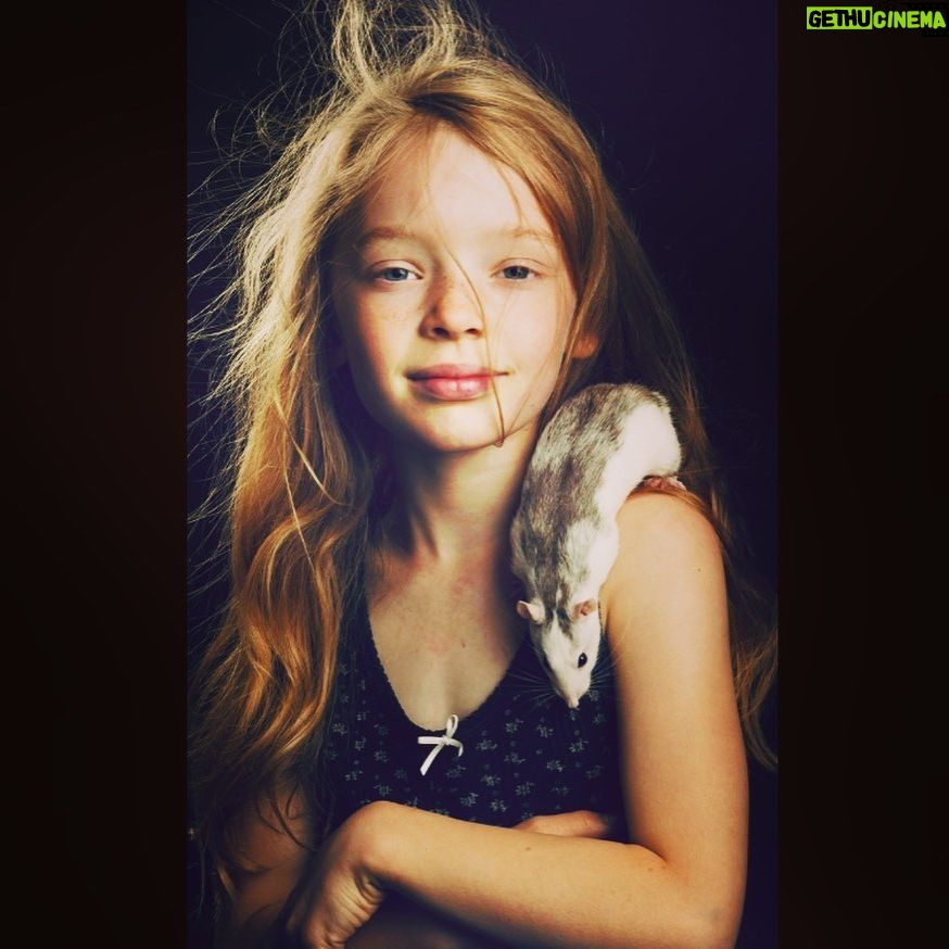 Agnes Born - 502 Likes - My friend Berta and me feelin fab 🐁
#petit#moi#kid#throwback#adolescentes#pet#rat#ratsareawesome#youngme#petrat#furryfriends#picoftheday#photoshoot#feelingfab#hippie#berta#girl#fabulous#younggirl#portrait#photography#rattusnorvegicus#badass#tb#norge#norway @ketil.born