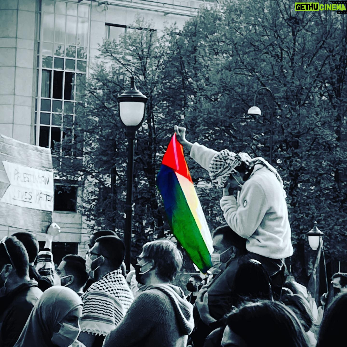 Agnes Born - 490 Likes - Fra gårdagens demonstrasjon i Oslo. Rørende, vondt, og viktig. 💔
@palestinakomiteeninorge @line.khateeb @kmglobal @antoinettesedin #YonatanShapira
#freepalestine#demonstration#bds#palestinakomiteen#gazaunderattack#palestine#endthewar#peaceandlove#freedom#norge#norway#demandjustice