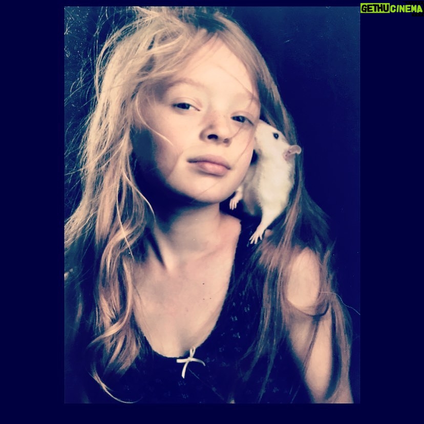 Agnes Born - 502 Likes - My friend Berta and me feelin fab 🐁
#petit#moi#kid#throwback#adolescentes#pet#rat#ratsareawesome#youngme#petrat#furryfriends#picoftheday#photoshoot#feelingfab#hippie#berta#girl#fabulous#younggirl#portrait#photography#rattusnorvegicus#badass#tb#norge#norway @ketil.born