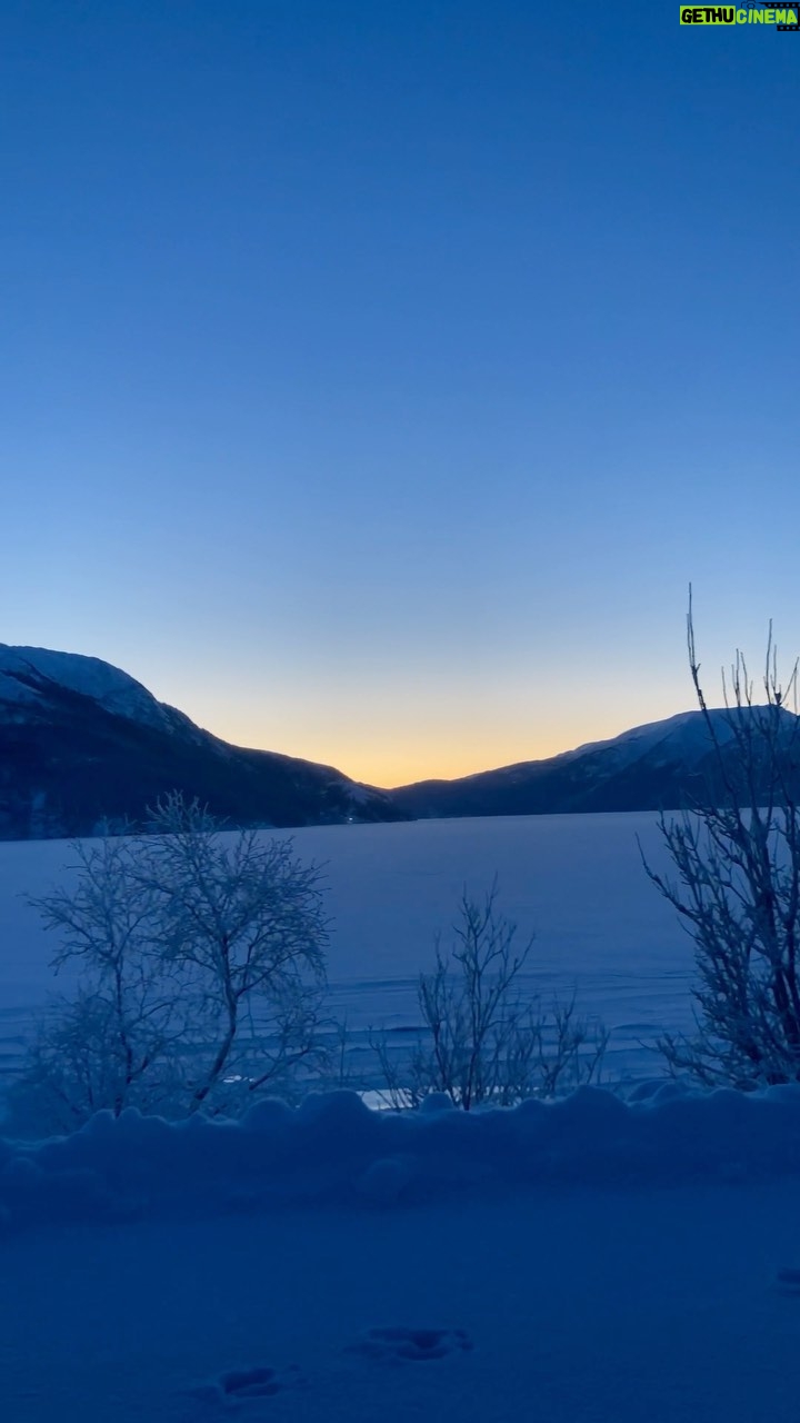 Agnes Born - 1.3K Likes - 🌜❄️
#nordland#nordic#winterland#newmoon#january#coldaf#frost#moon#beauty#blue#nordland#norway @garmarna_official