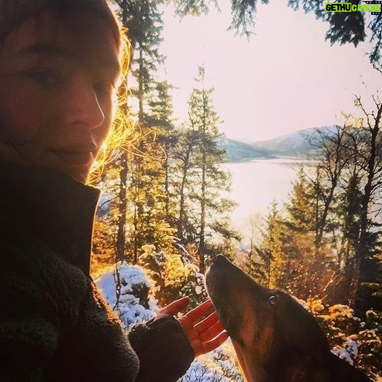 Agnes Born - 759 Likes - Miss you so much, Selma ❤️
#mansbestfriend
#unconditionallove#bestfriends#dog#soulmates#selma#friendship#hikingbuddy#furryfriends#husky#doglover#huskymix#settersofnorway#rip#restinpeace#missyou#friends#norway#nothernnorway#scandinavia#beautiful#paws#petsofinstagram