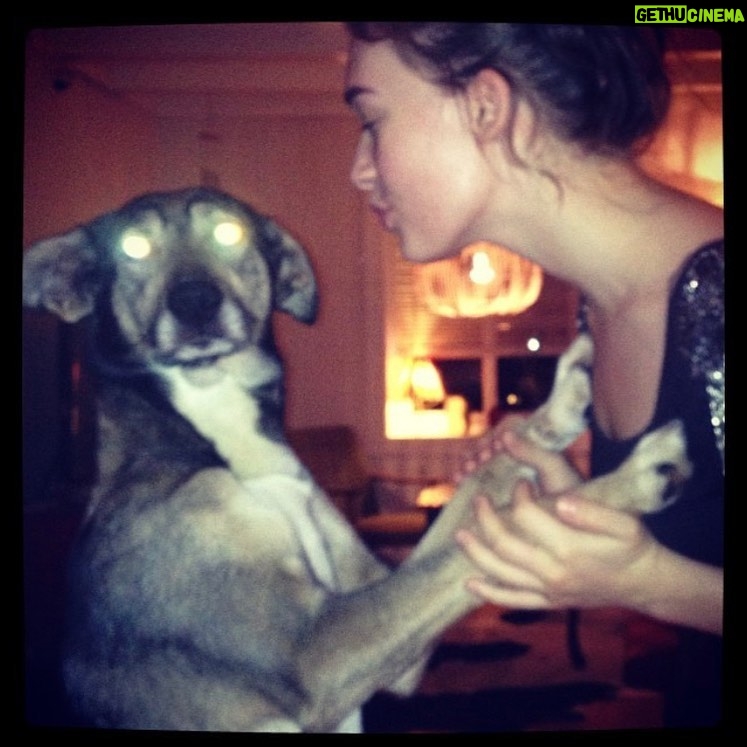 Agnes Born - 759 Likes - Miss you so much, Selma ❤️
#mansbestfriend
#unconditionallove#bestfriends#dog#soulmates#selma#friendship#hikingbuddy#furryfriends#husky#doglover#huskymix#settersofnorway#rip#restinpeace#missyou#friends#norway#nothernnorway#scandinavia#beautiful#paws#petsofinstagram