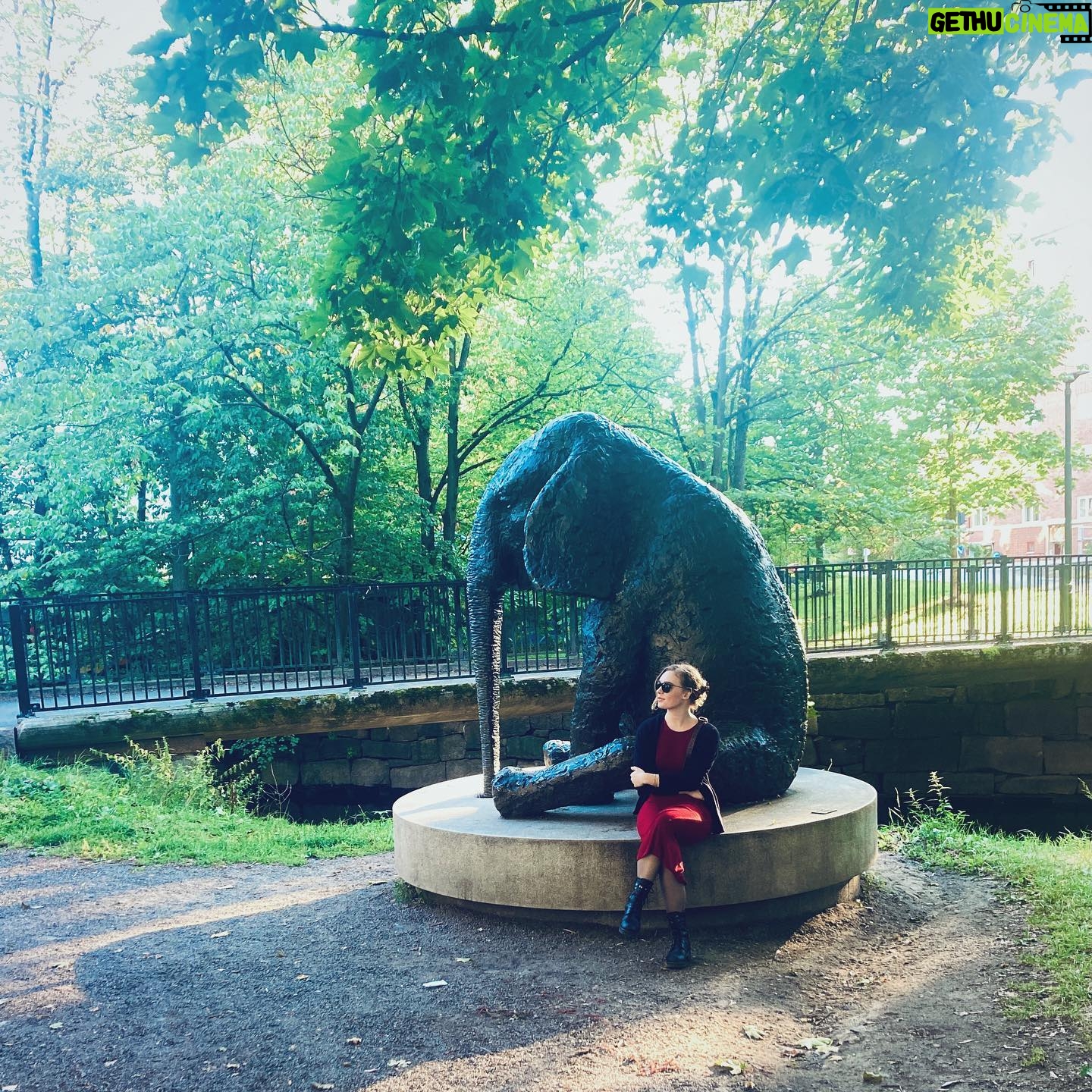 Agnes Born - 540 Likes - Vakre høstdager og ny regjering🍁
.
.
.
.
.
.
#rødgrønn#hurray#valg2021#autumn#høst#beauty#timesarechanging#efterår#rødt#red#green#september#autumn2021#photooftheday#elephant#elephantintheroom#sculpture#akerselva#oslove#oslo#norway