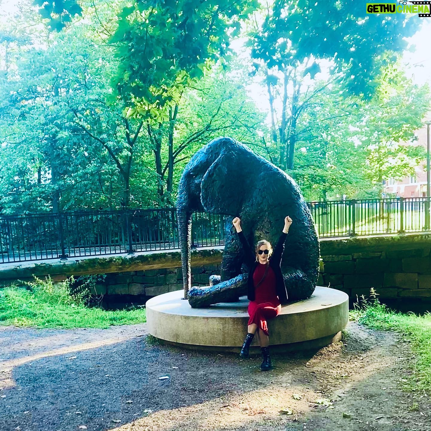 Agnes Born - 540 Likes - Vakre høstdager og ny regjering🍁
.
.
.
.
.
.
#rødgrønn#hurray#valg2021#autumn#høst#beauty#timesarechanging#efterår#rødt#red#green#september#autumn2021#photooftheday#elephant#elephantintheroom#sculpture#akerselva#oslove#oslo#norway